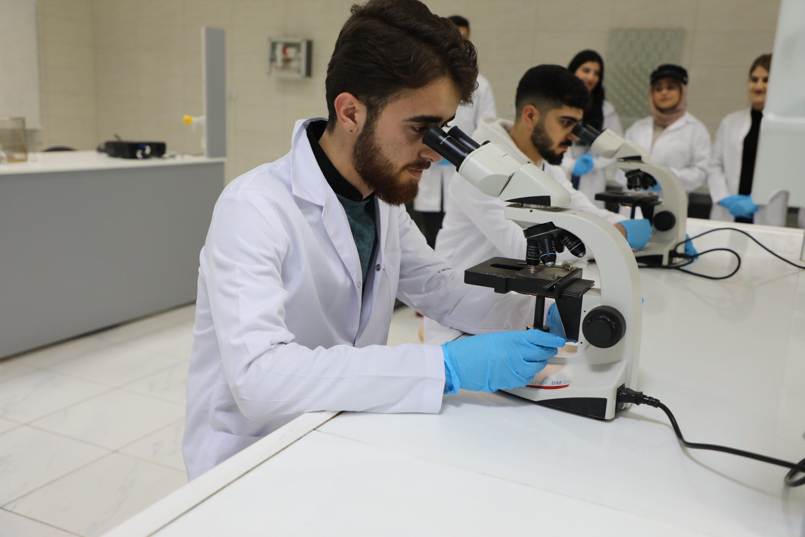 Lab