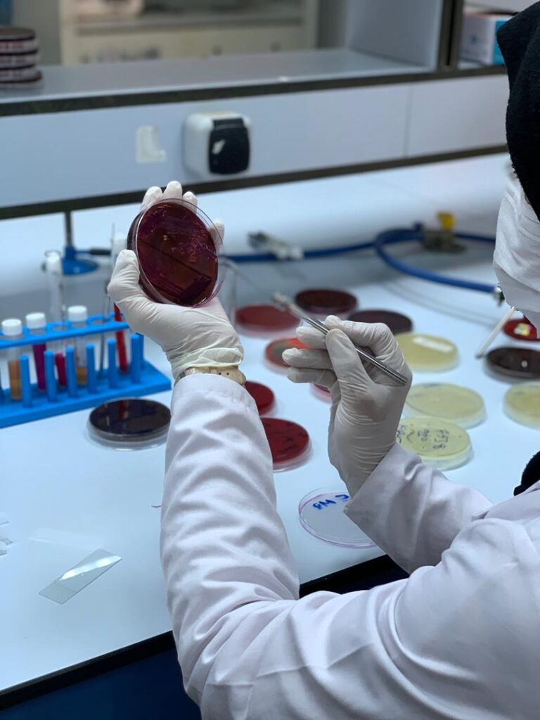 Microbiology & Culture Equipment