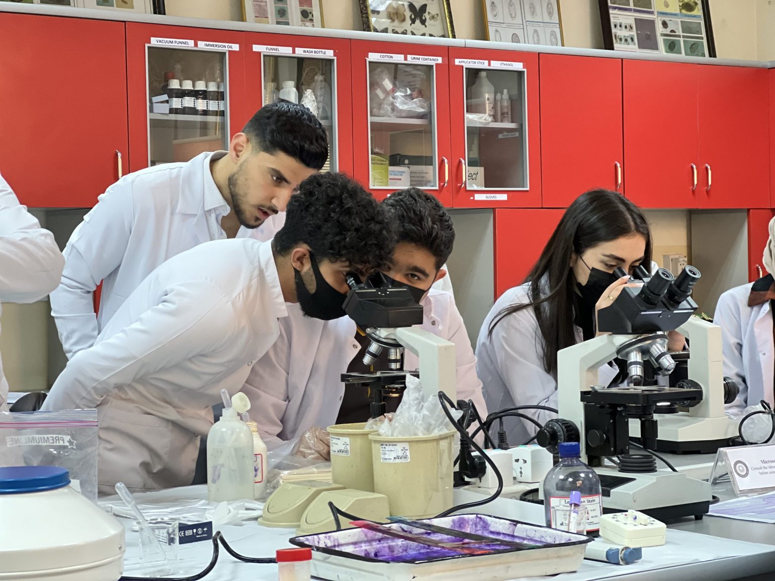 Microbiology Lab