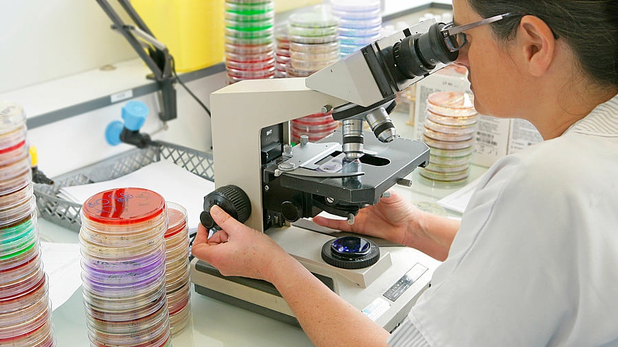 Microscopy & Cell Analysis